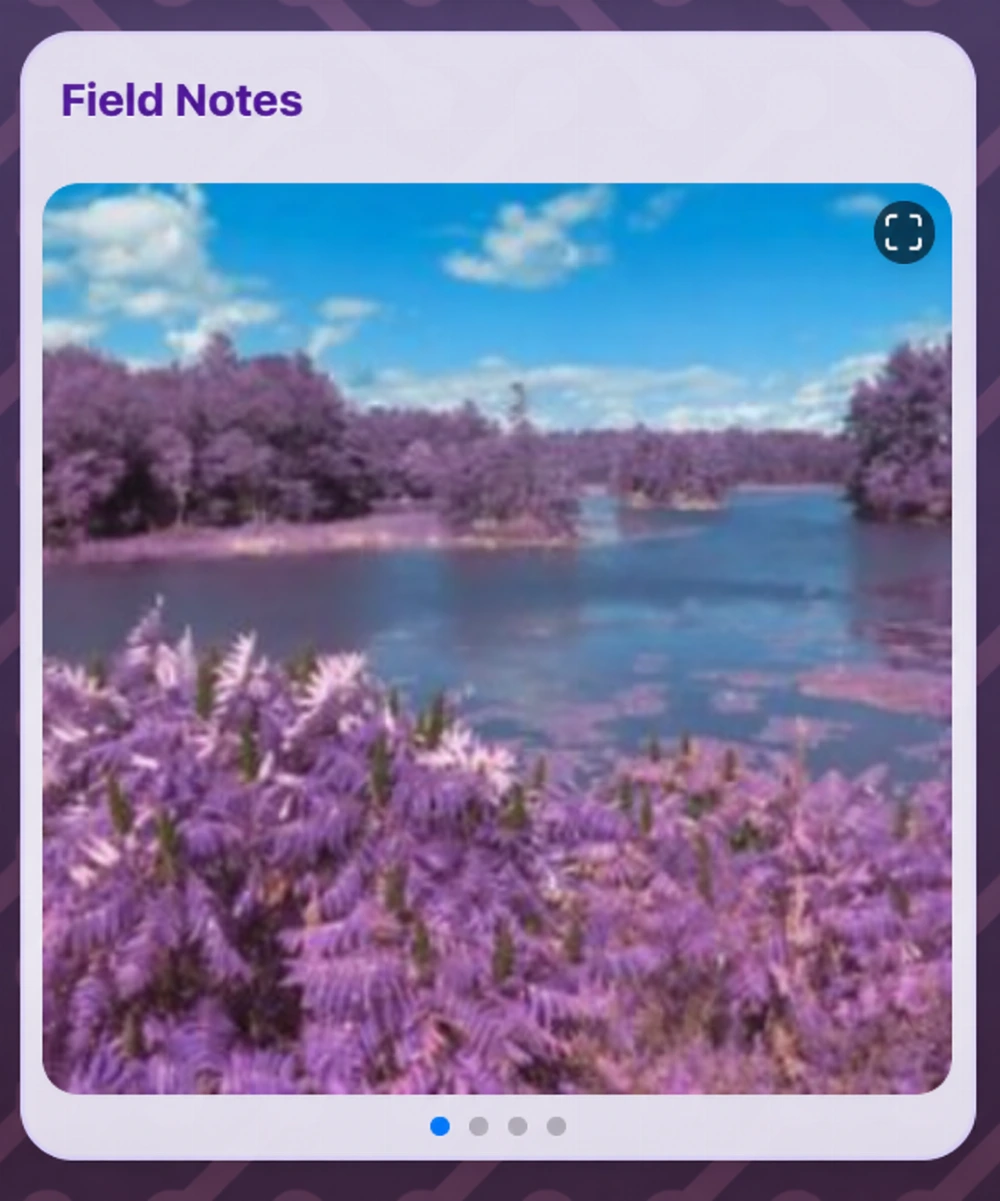 Maya’s fictional photography profile showing a Field Notes image gallery.